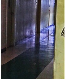 HOLLYWOOD RANCH MARKET | ナイロンジャケット