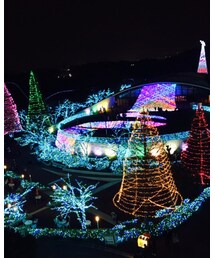 イルミネーション | その他