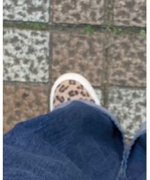 American Eagle | スリッポン