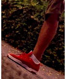 DC SHOES | スニーカー