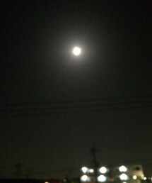 no brand | ブランド不明(Tシャツ/カットソー)