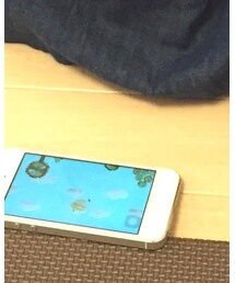 ふかか | その他