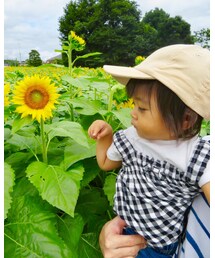 ひまわり🌻大きいなー😳💓 | その他