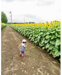 こっちこっちー‼️🙋 | その他