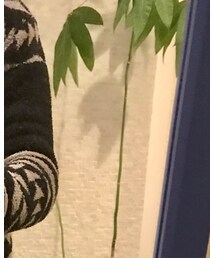 BAREFOOT DREAMS | カーディガン/ボレロ