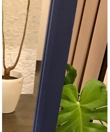 H&M | Tシャツ/カットソー