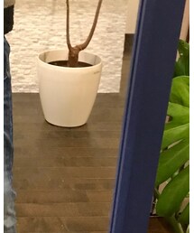 ZARA | デニムパンツ