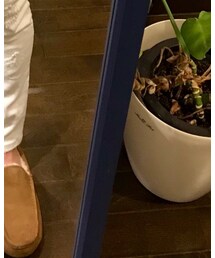 UGG | スリッポン