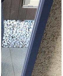 GOSTAR DE FUGA | スラックス