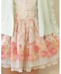 LIZ LISA | スカート