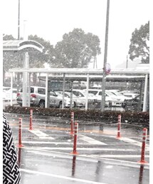 EVISU | マウンテンパーカー