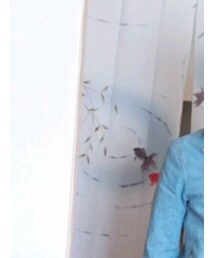 TESS | デニムジャケット