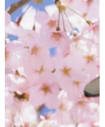 Rivieras | スリッポン