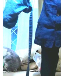 UNIQLO | デニムパンツ