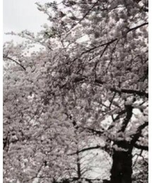 Lee | デニムパンツ