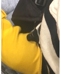 THE NORTH FACE | デニムパンツ