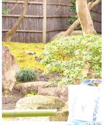 lani＊natural style | トートバッグ