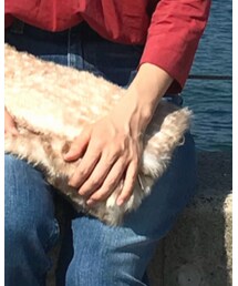 しまむら | クラッチバッグ