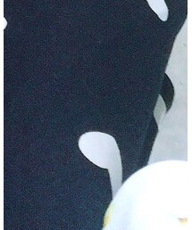 LODISPOTTO | スカート