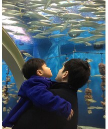 ①息子と地元の水族館へ | (ピーコート)