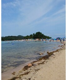 SEA | その他