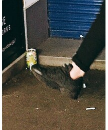 Reebok | スニーカー