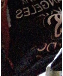 STUSSY | トップス
