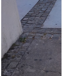 insta: @rianlien | その他