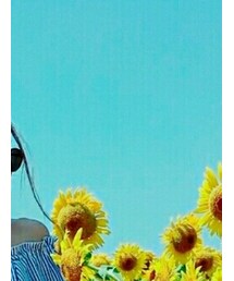 しまむら | シャツ/ブラウス