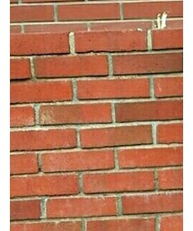 連投すみません🙏 | その他