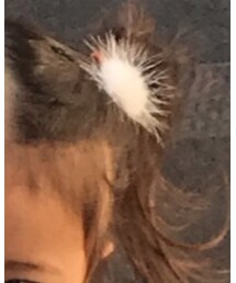 キャンドゥ | ヘアピン