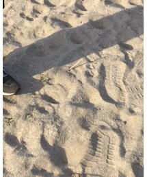 NEW BALANCE | スニーカー