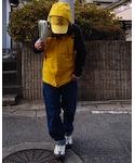 frontの「ペットグッズ(ペット用おもちゃ)」