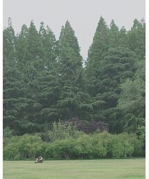 su su home | ワンピース