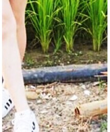 adidas | シューズ