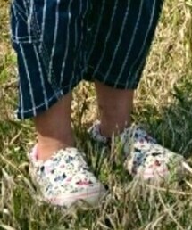 VANS | スニーカー