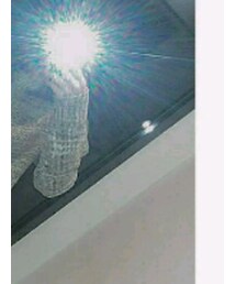  Eleglam | その他トップス