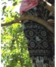 カンボジアで買ったタイパンツ | パンツ