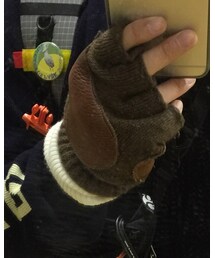 バッファローの毛のヤツ | 手袋