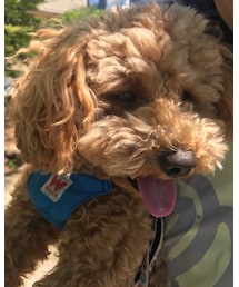 暑い | 福袋/福箱