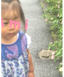 petit main | Tシャツ/カットソー