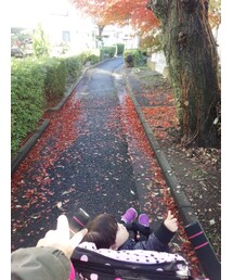 △ | 秋っぽい～(Tシャツ/カットソー)