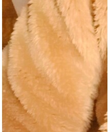 Champion | ジャケット/アウター