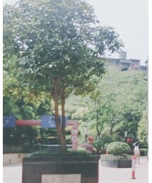 sandro | ピーコート