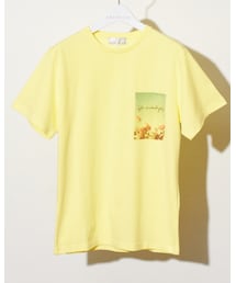 ABAHOUSE | Tシャツ/カットソー