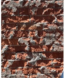 私 | タンクトップ