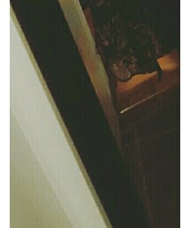 ZARA | シャツワンピース