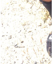 NIKE | ソックス/靴下