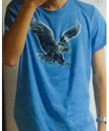 American Eagle | Tシャツ/カットソー