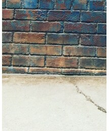 夢の国 | その他